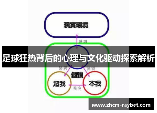 足球狂热背后的心理与文化驱动探索解析